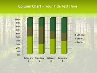 Forest Branch Leaves PowerPoint Template