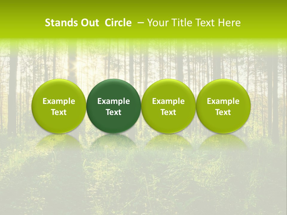 Forest Branch Leaves PowerPoint Template