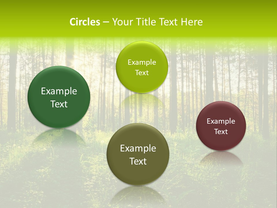 Forest Branch Leaves PowerPoint Template