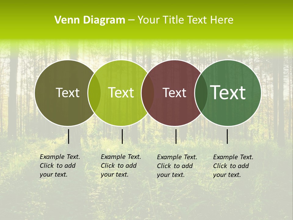 Forest Branch Leaves PowerPoint Template