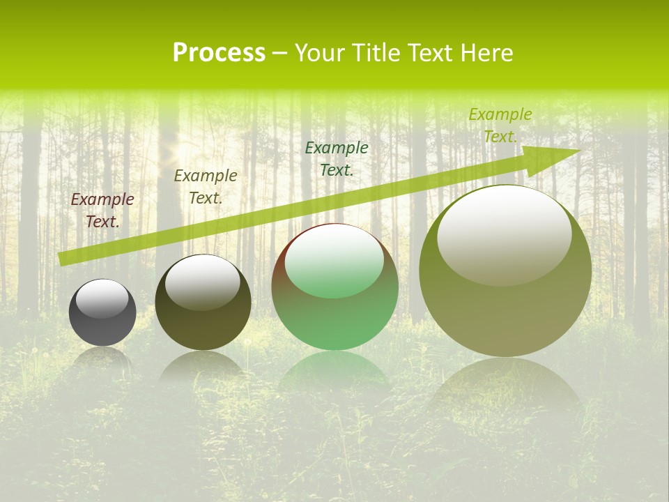 Forest Branch Leaves PowerPoint Template