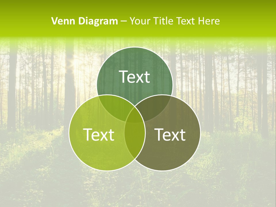 Forest Branch Leaves PowerPoint Template