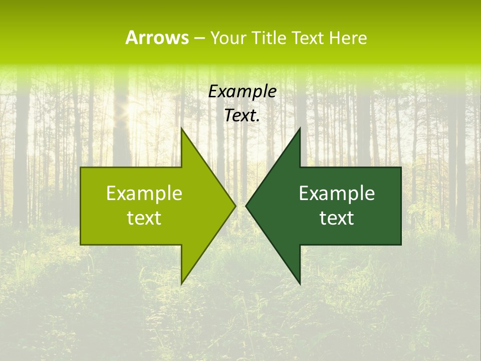 Forest Branch Leaves PowerPoint Template