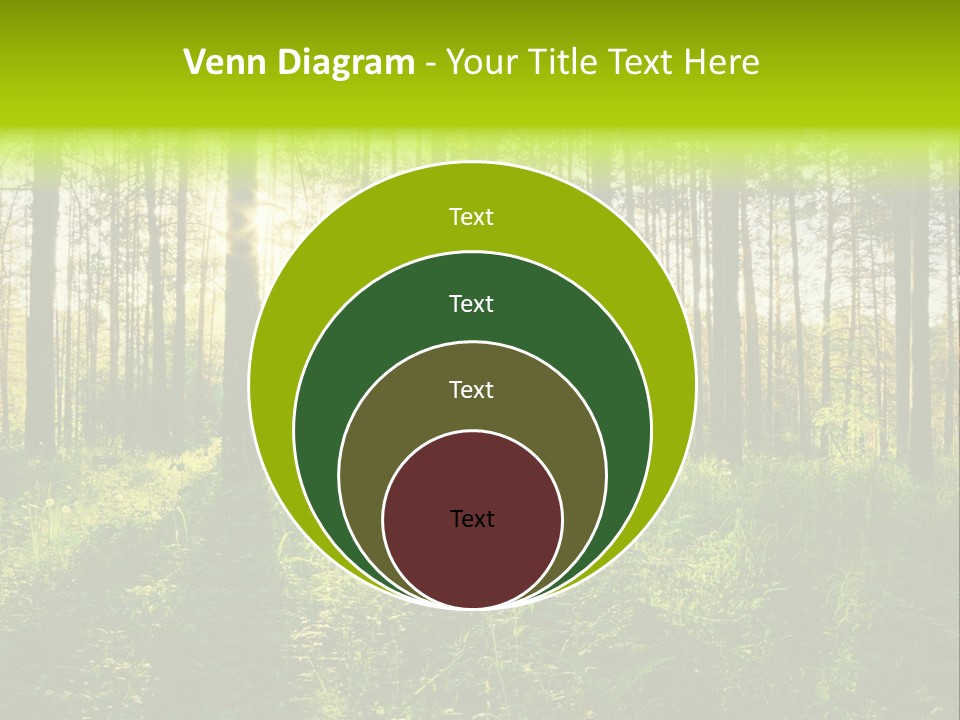 Forest Branch Leaves PowerPoint Template