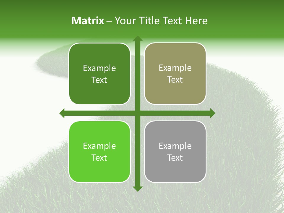 Grass Corridor Ecology PowerPoint Template