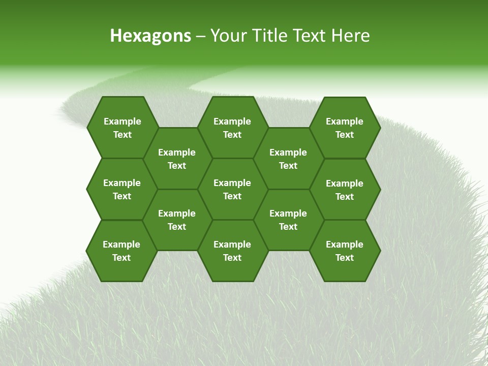 Grass Corridor Ecology PowerPoint Template