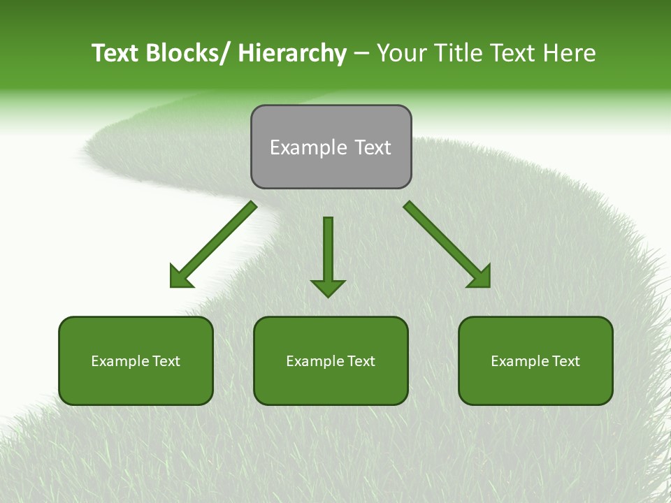 Grass Corridor Ecology PowerPoint Template