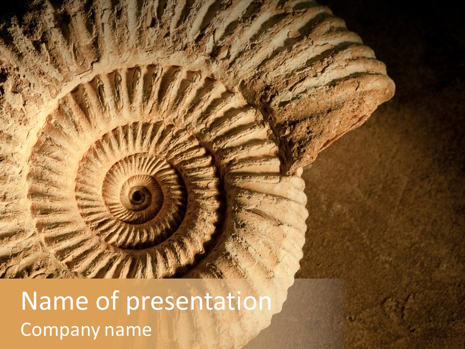 Closeup Paleontology Skeleton PowerPoint Template