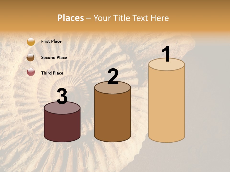 Closeup Paleontology Skeleton PowerPoint Template