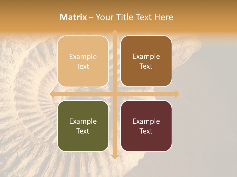 Closeup Paleontology Skeleton PowerPoint Template