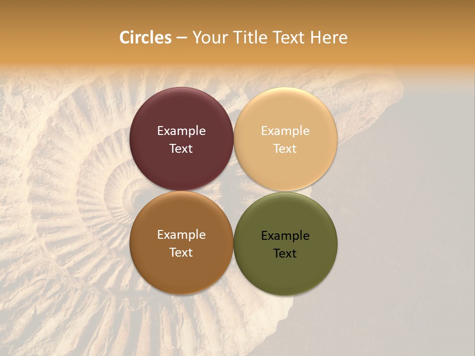 Closeup Paleontology Skeleton PowerPoint Template