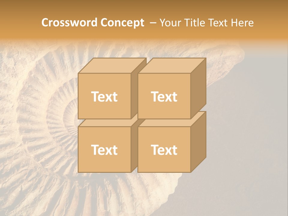 Closeup Paleontology Skeleton PowerPoint Template