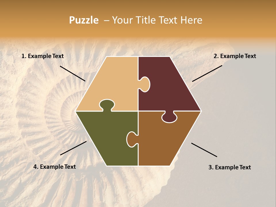 Closeup Paleontology Skeleton PowerPoint Template