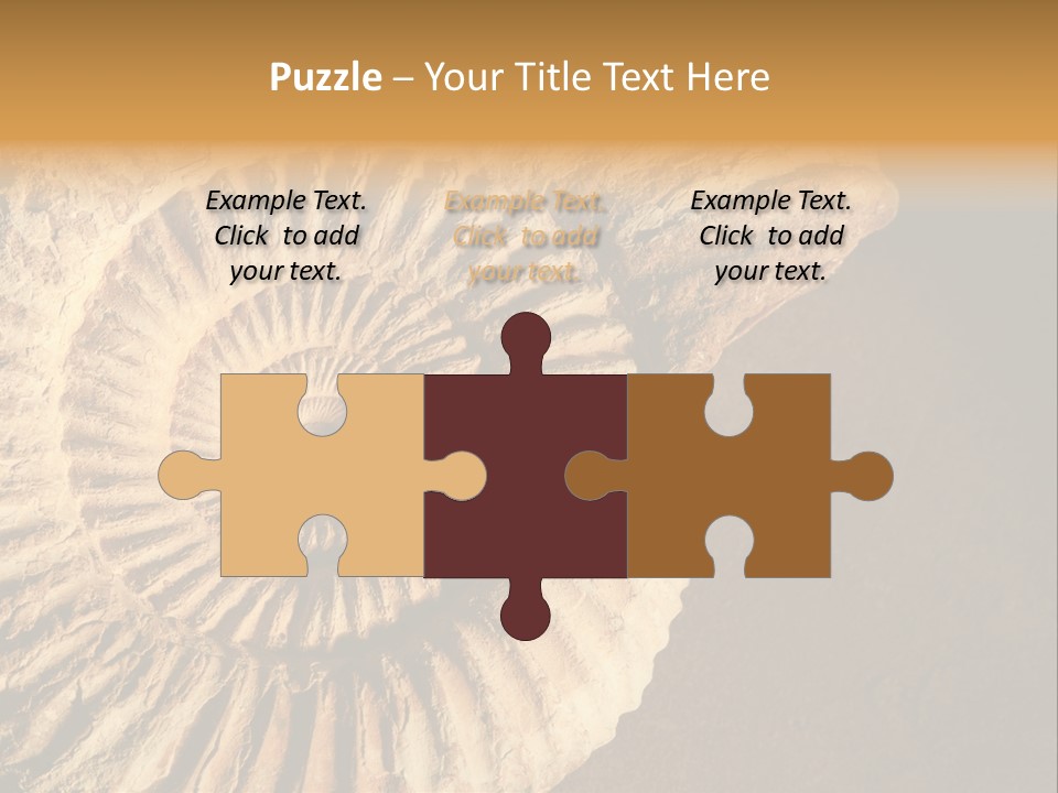 Closeup Paleontology Skeleton PowerPoint Template