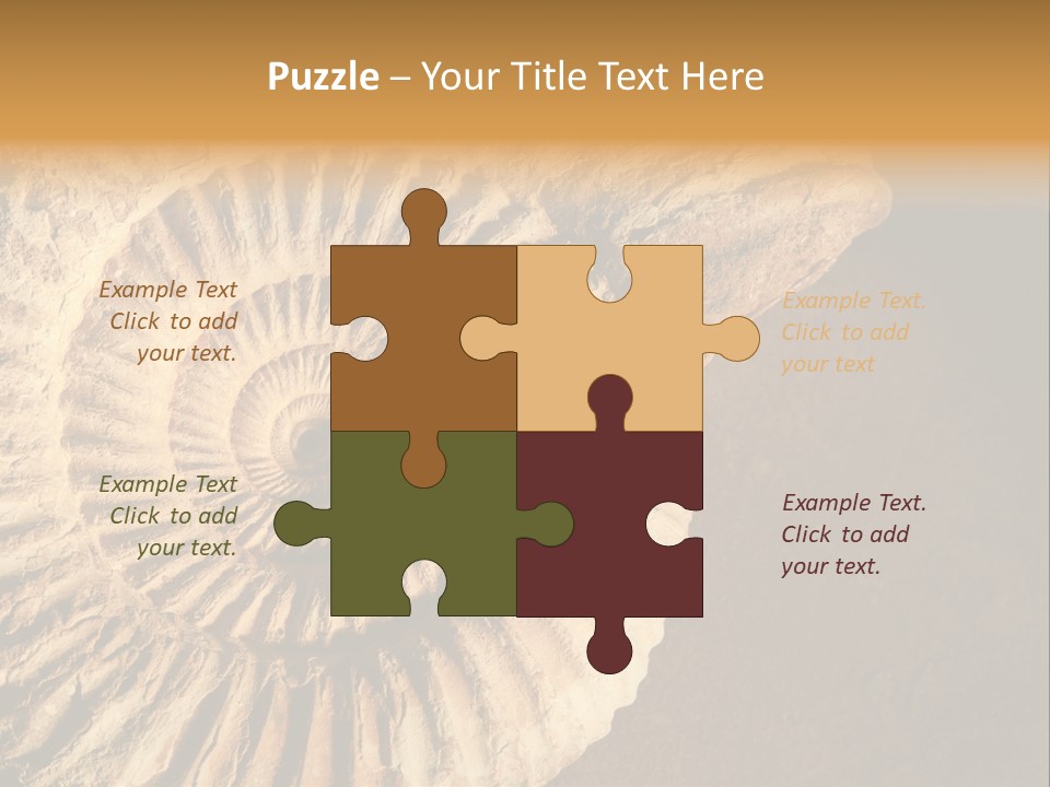 Closeup Paleontology Skeleton PowerPoint Template