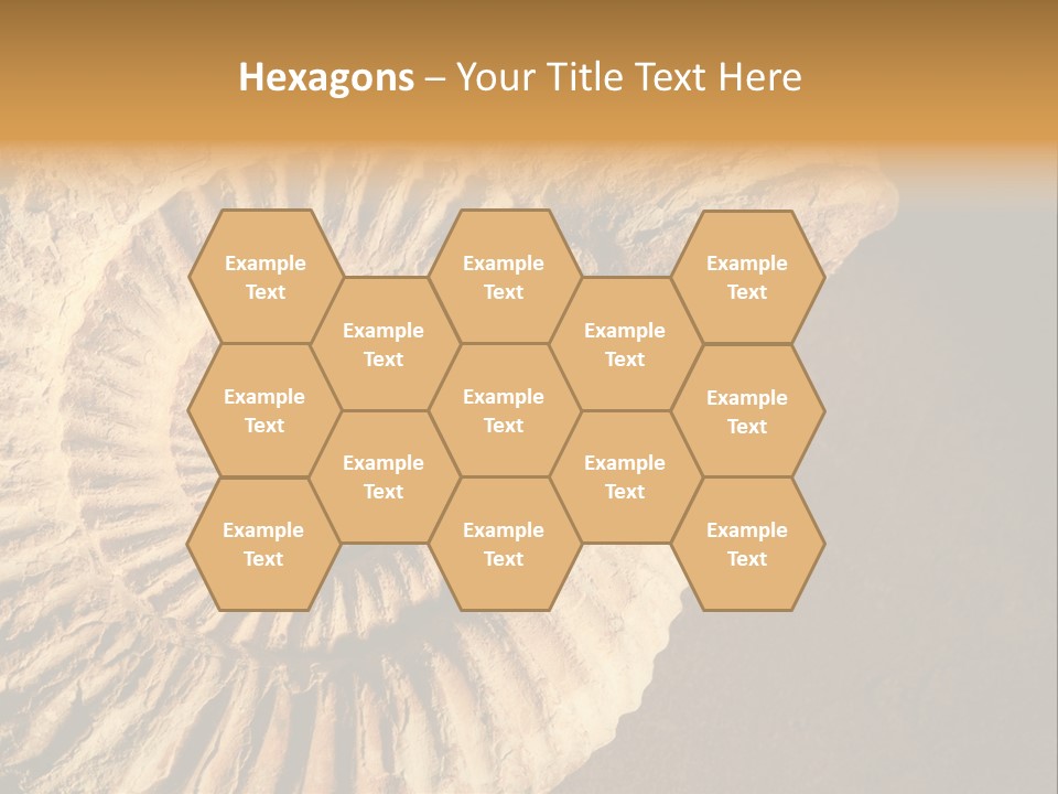 Closeup Paleontology Skeleton PowerPoint Template
