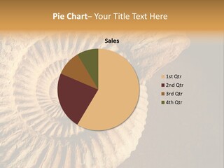 Closeup Paleontology Skeleton PowerPoint Template