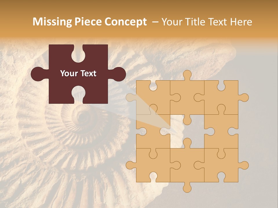 Closeup Paleontology Skeleton PowerPoint Template