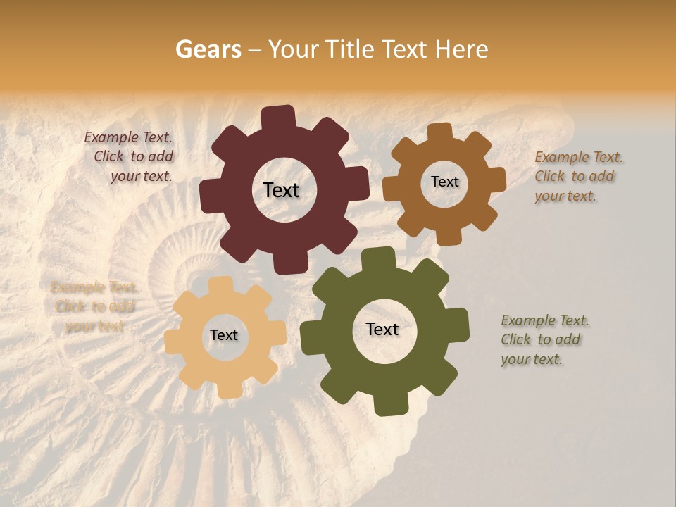 Closeup Paleontology Skeleton PowerPoint Template