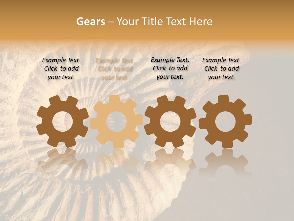 Closeup Paleontology Skeleton PowerPoint Template