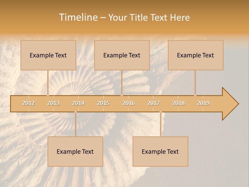 Closeup Paleontology Skeleton PowerPoint Template