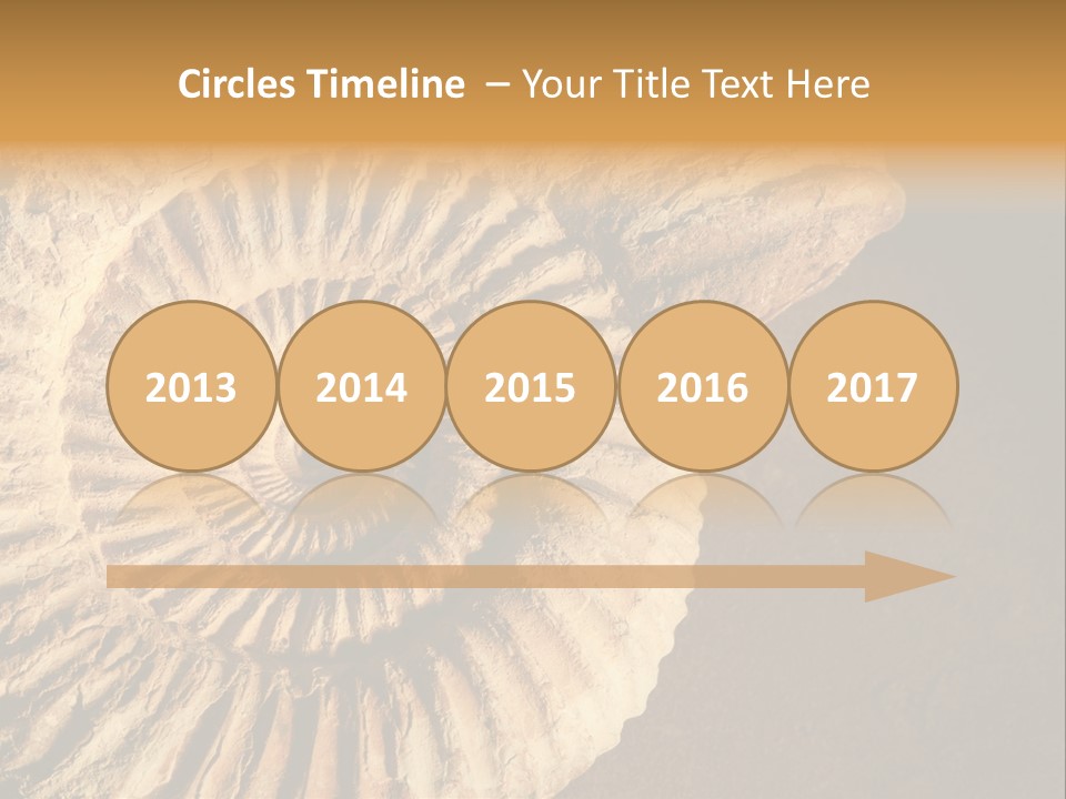 Closeup Paleontology Skeleton PowerPoint Template