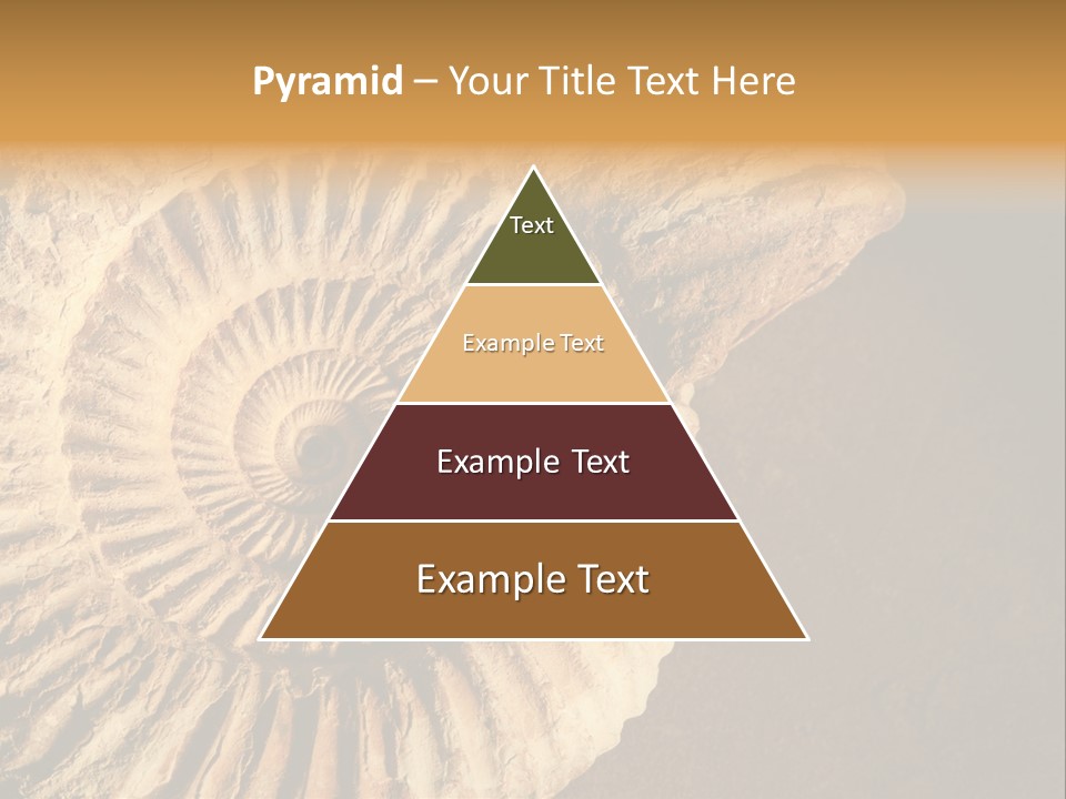 Closeup Paleontology Skeleton PowerPoint Template