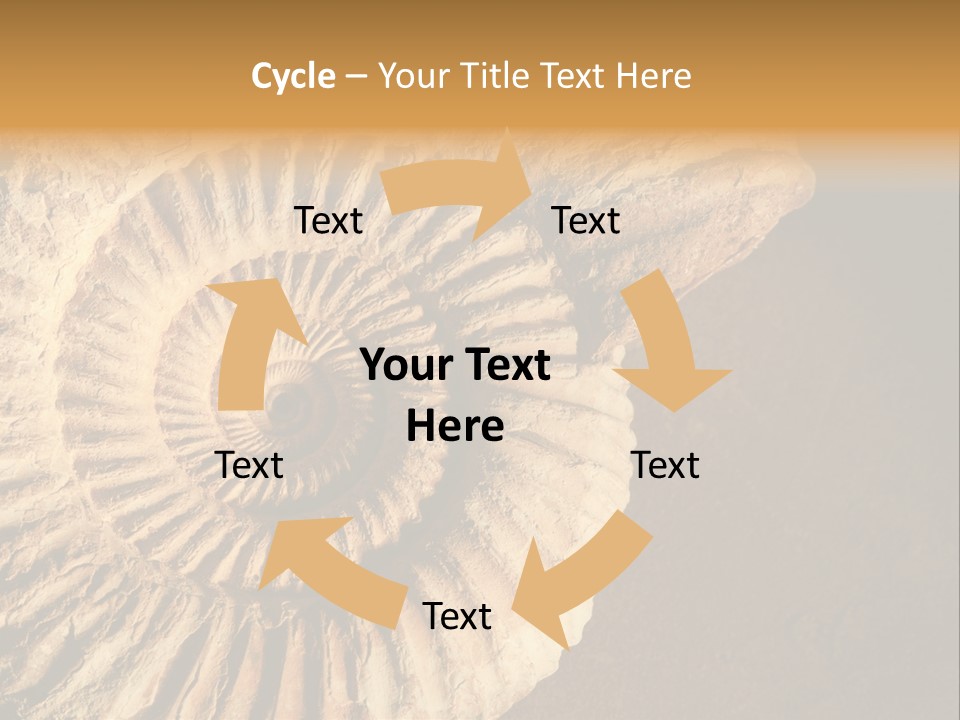 Closeup Paleontology Skeleton PowerPoint Template