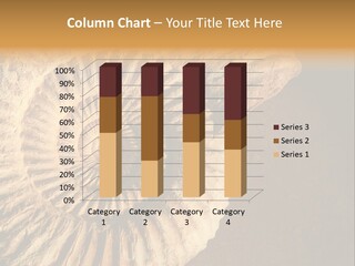 Closeup Paleontology Skeleton PowerPoint Template