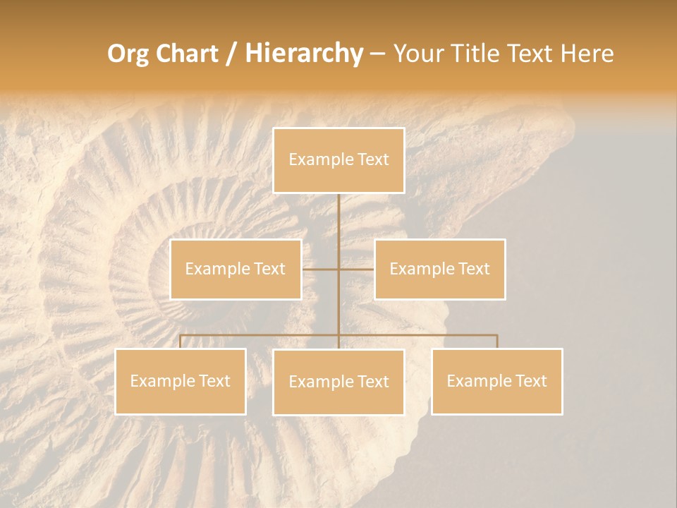 Closeup Paleontology Skeleton PowerPoint Template