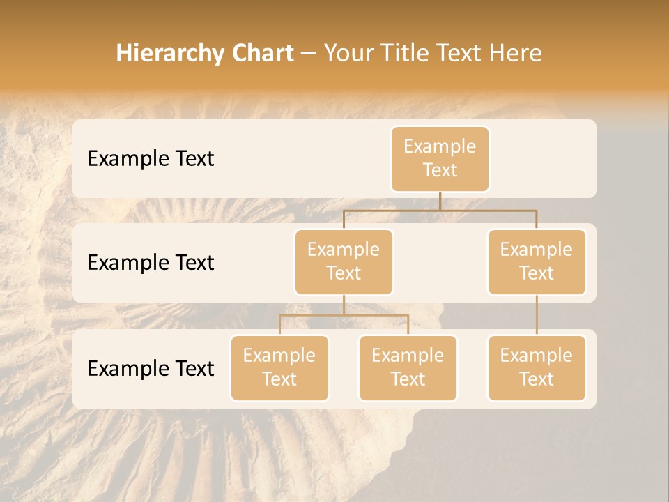 Closeup Paleontology Skeleton PowerPoint Template