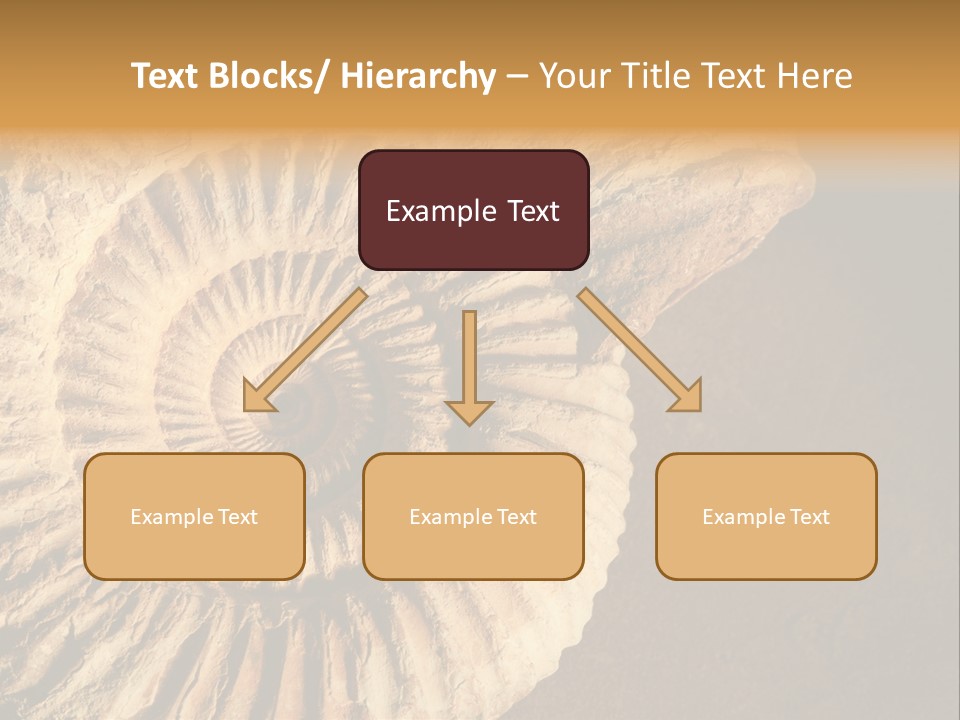 Closeup Paleontology Skeleton PowerPoint Template