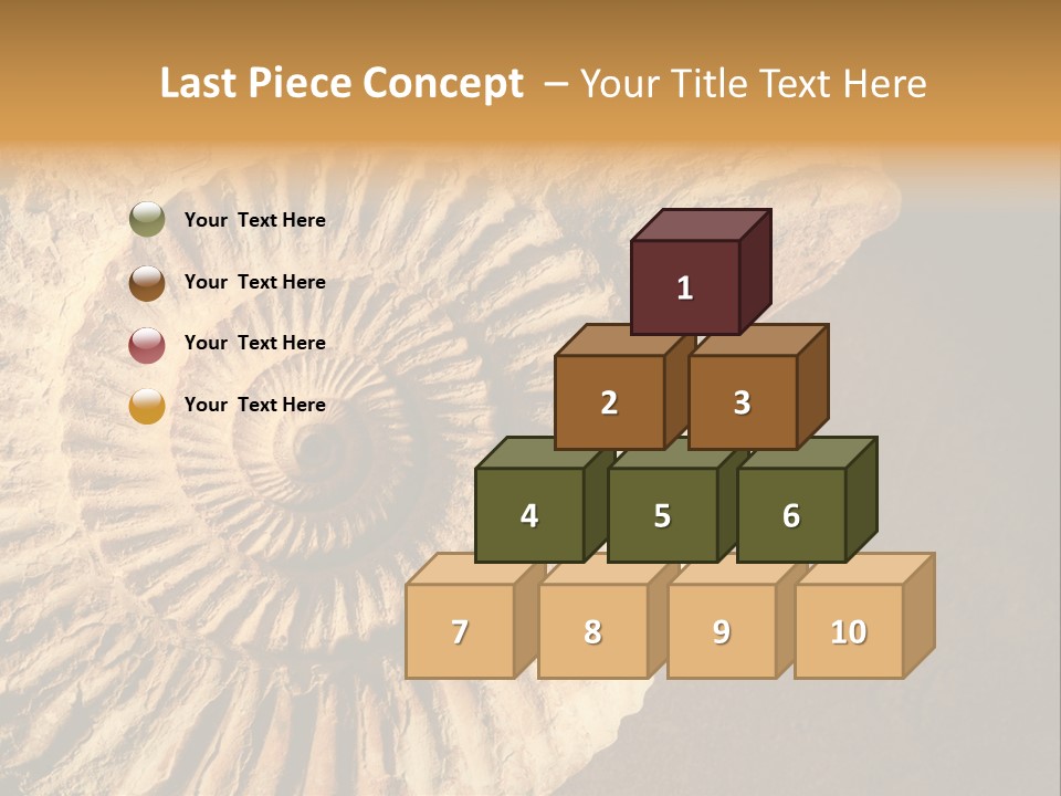Closeup Paleontology Skeleton PowerPoint Template