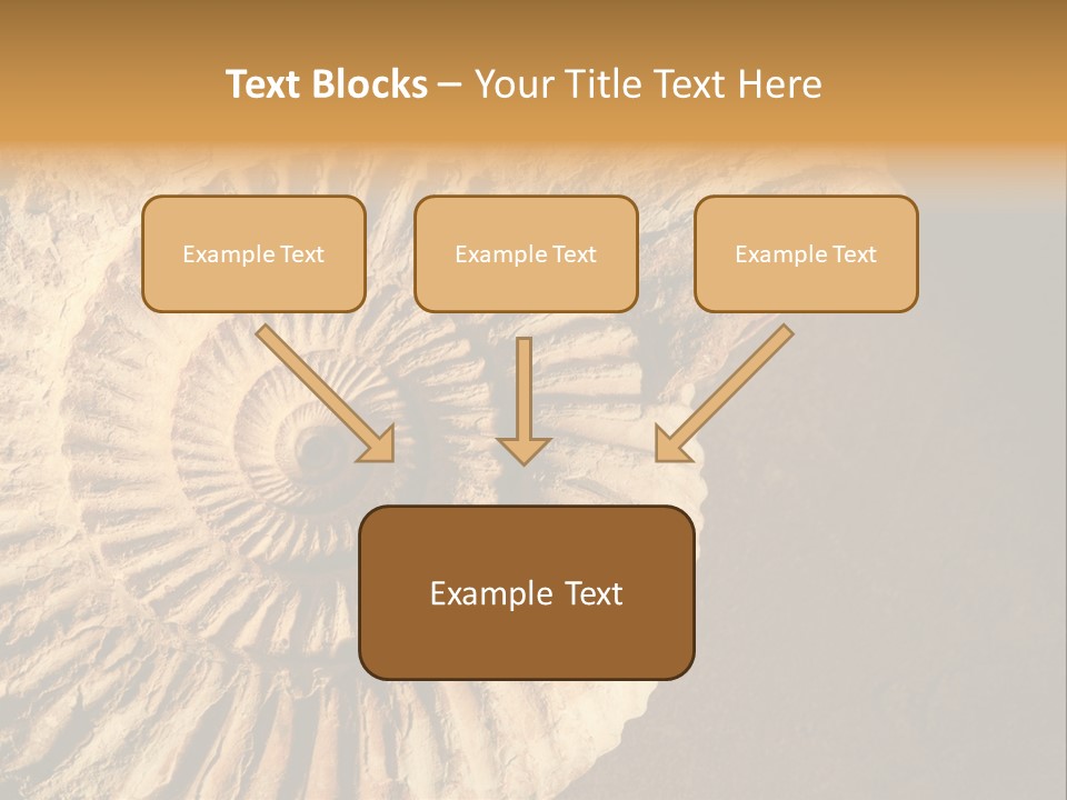 Closeup Paleontology Skeleton PowerPoint Template