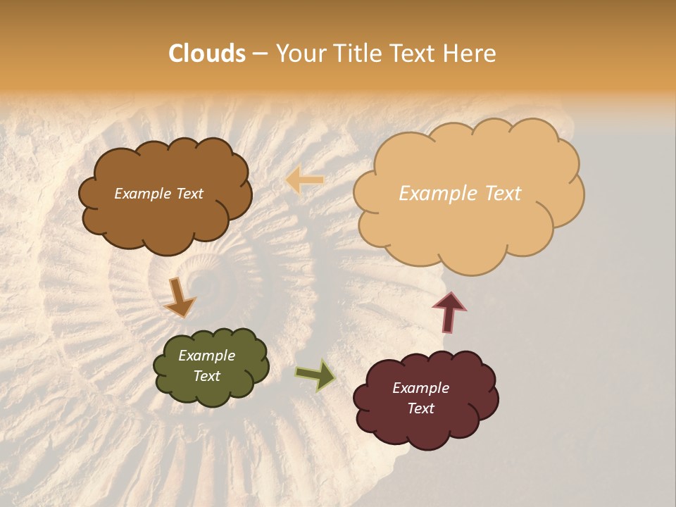 Closeup Paleontology Skeleton PowerPoint Template