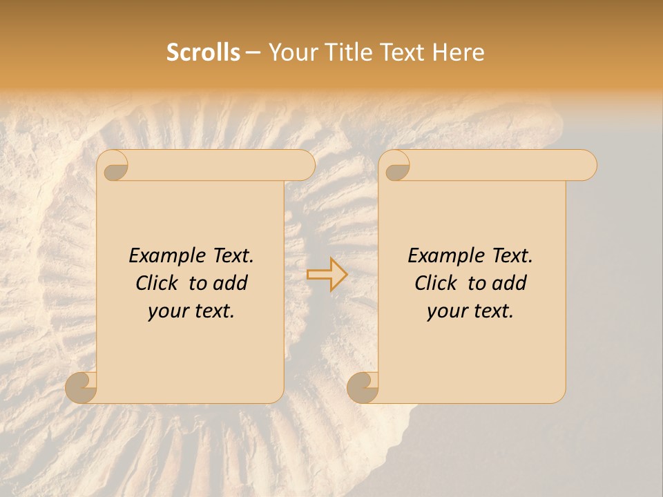 Closeup Paleontology Skeleton PowerPoint Template