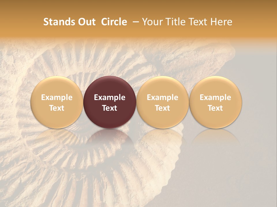 Closeup Paleontology Skeleton PowerPoint Template