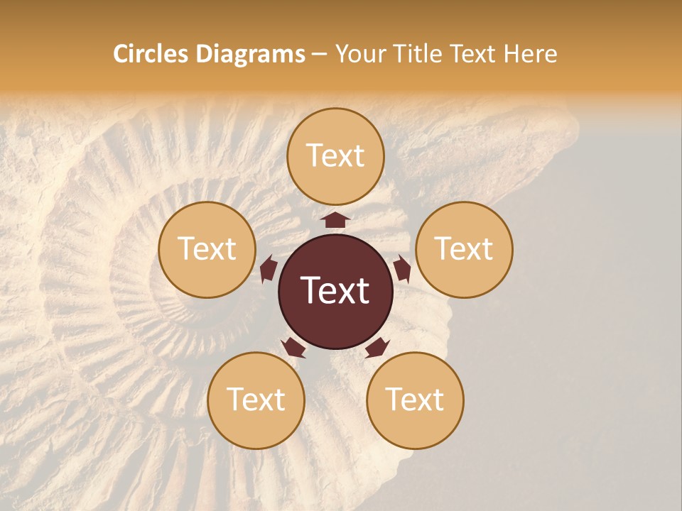 Closeup Paleontology Skeleton PowerPoint Template