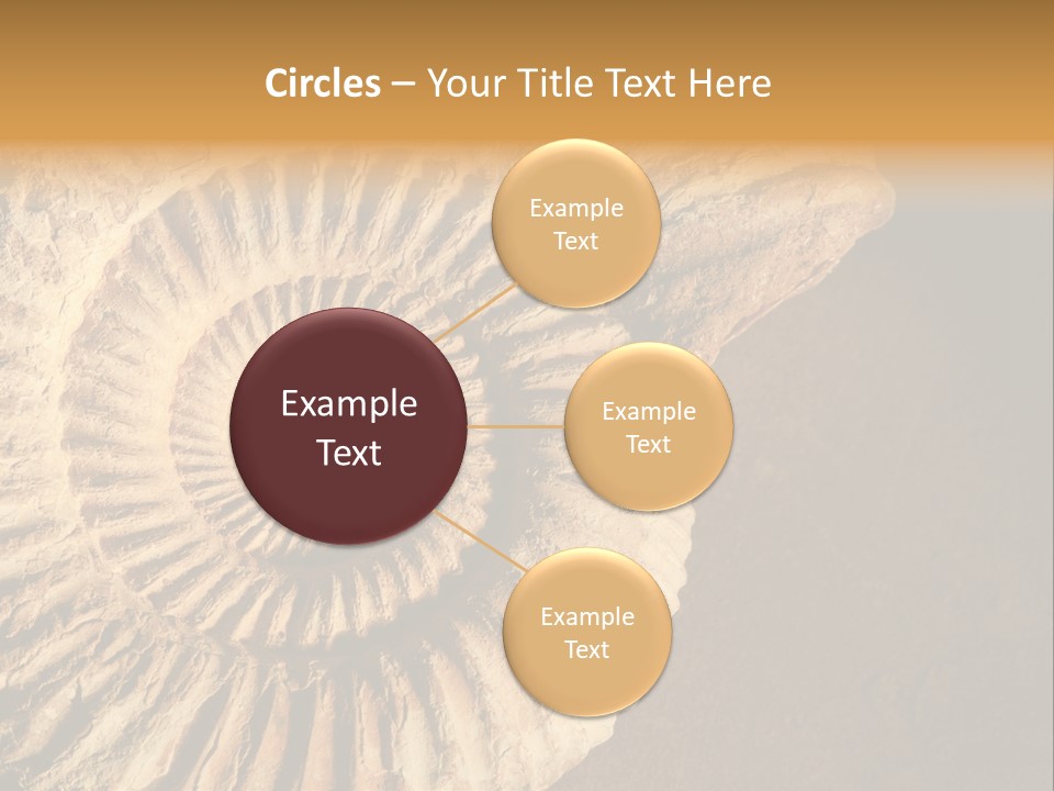 Closeup Paleontology Skeleton PowerPoint Template