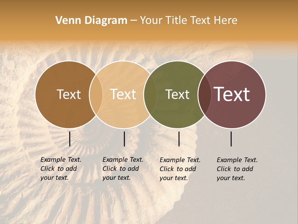 Closeup Paleontology Skeleton PowerPoint Template