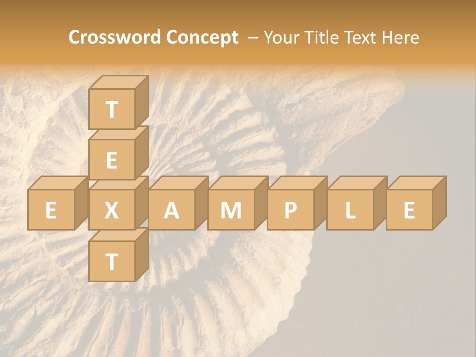 Closeup Paleontology Skeleton PowerPoint Template