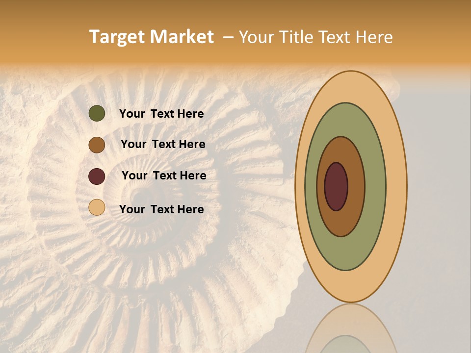 Closeup Paleontology Skeleton PowerPoint Template