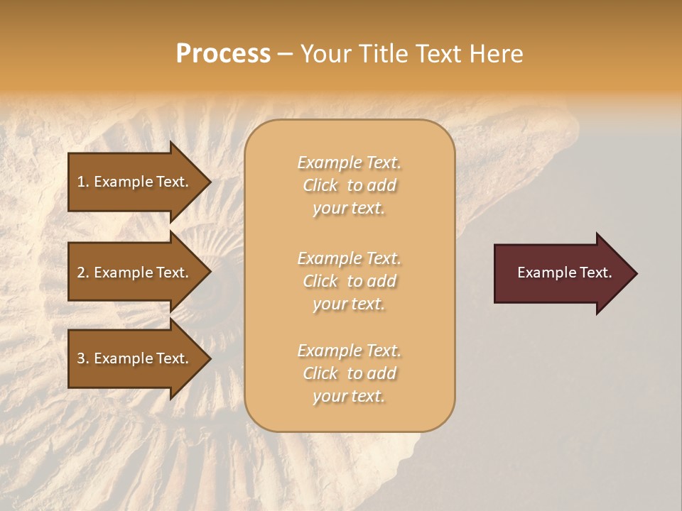 Closeup Paleontology Skeleton PowerPoint Template