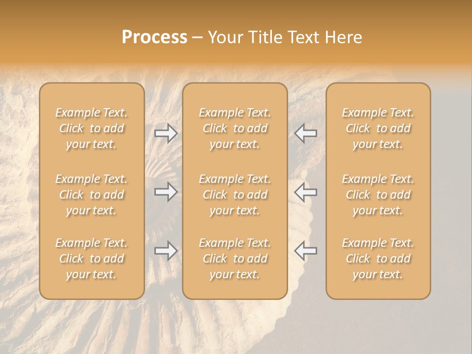 Closeup Paleontology Skeleton PowerPoint Template
