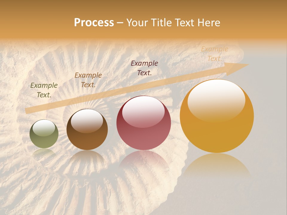 Closeup Paleontology Skeleton PowerPoint Template