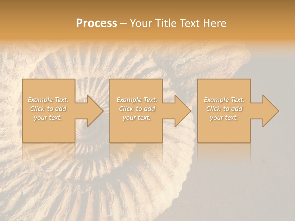 Closeup Paleontology Skeleton PowerPoint Template