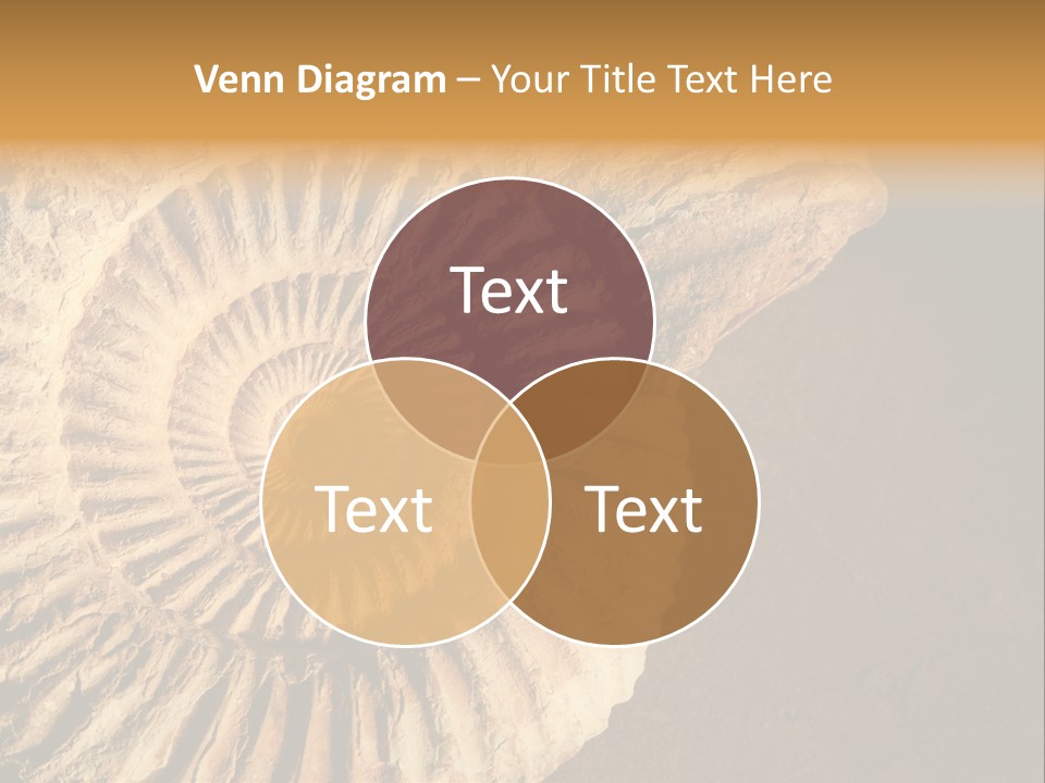 Closeup Paleontology Skeleton PowerPoint Template