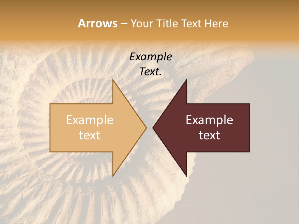 Closeup Paleontology Skeleton PowerPoint Template