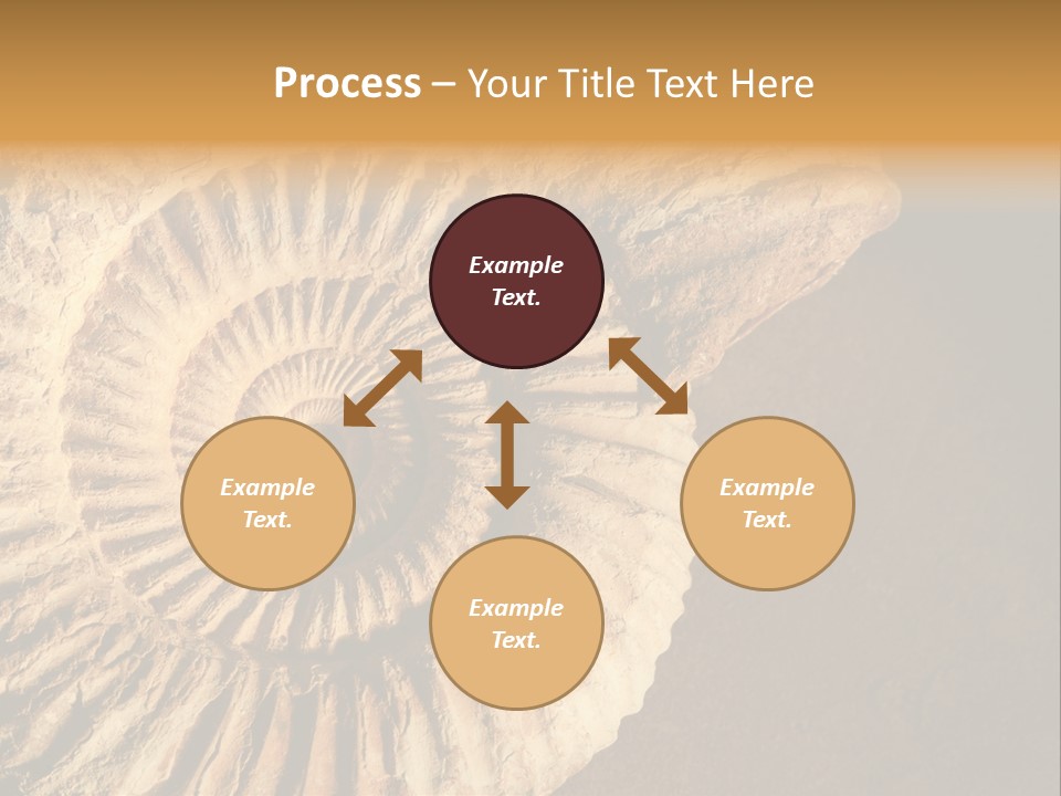 Closeup Paleontology Skeleton PowerPoint Template