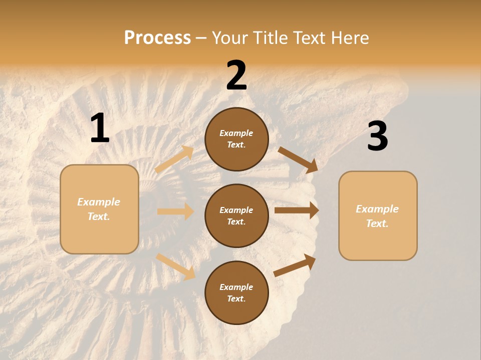 Closeup Paleontology Skeleton PowerPoint Template
